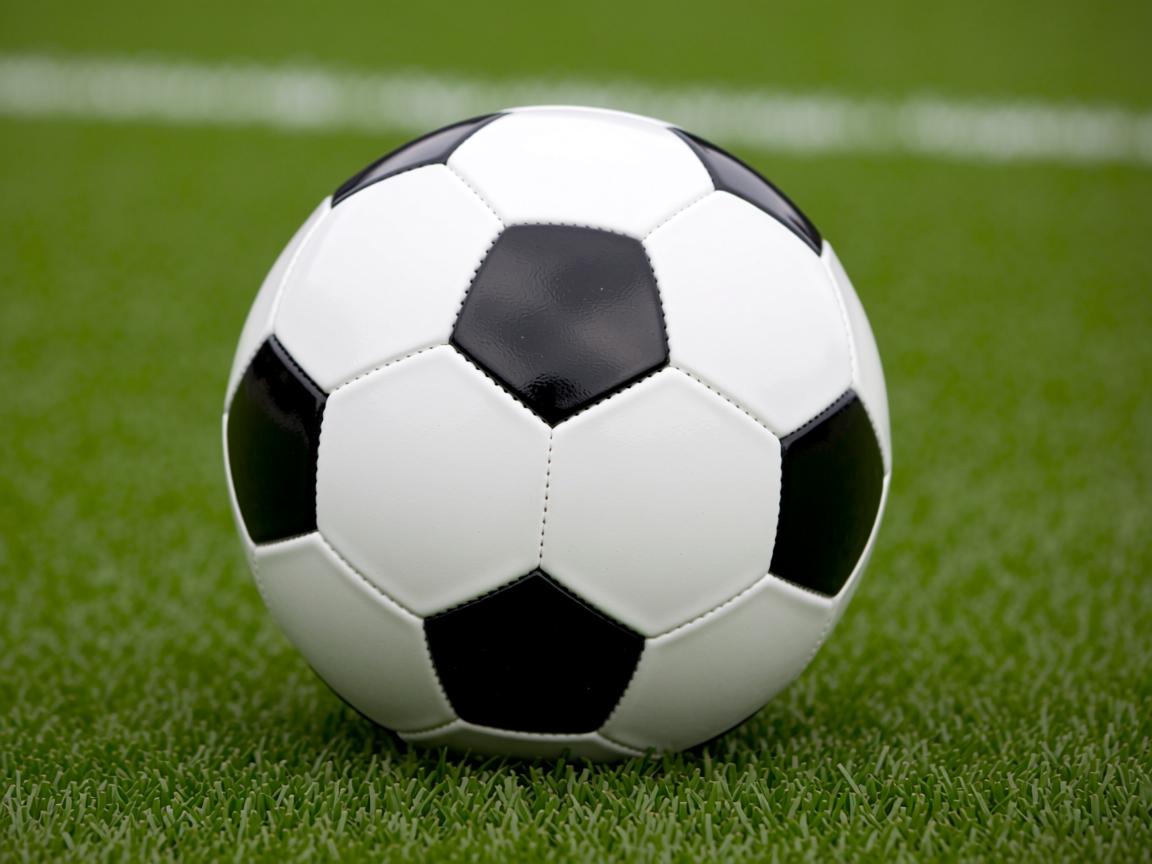 开云体育app官网-CBA球队实施科学训练数据追踪,cba 训练 第2张